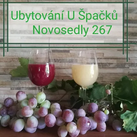 U Spacku Palava شقة Novosedly (Breclav)
