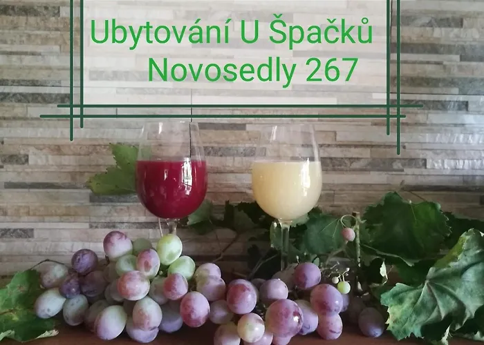 U Spacku Palava Apartment Novosedly (Breclav)